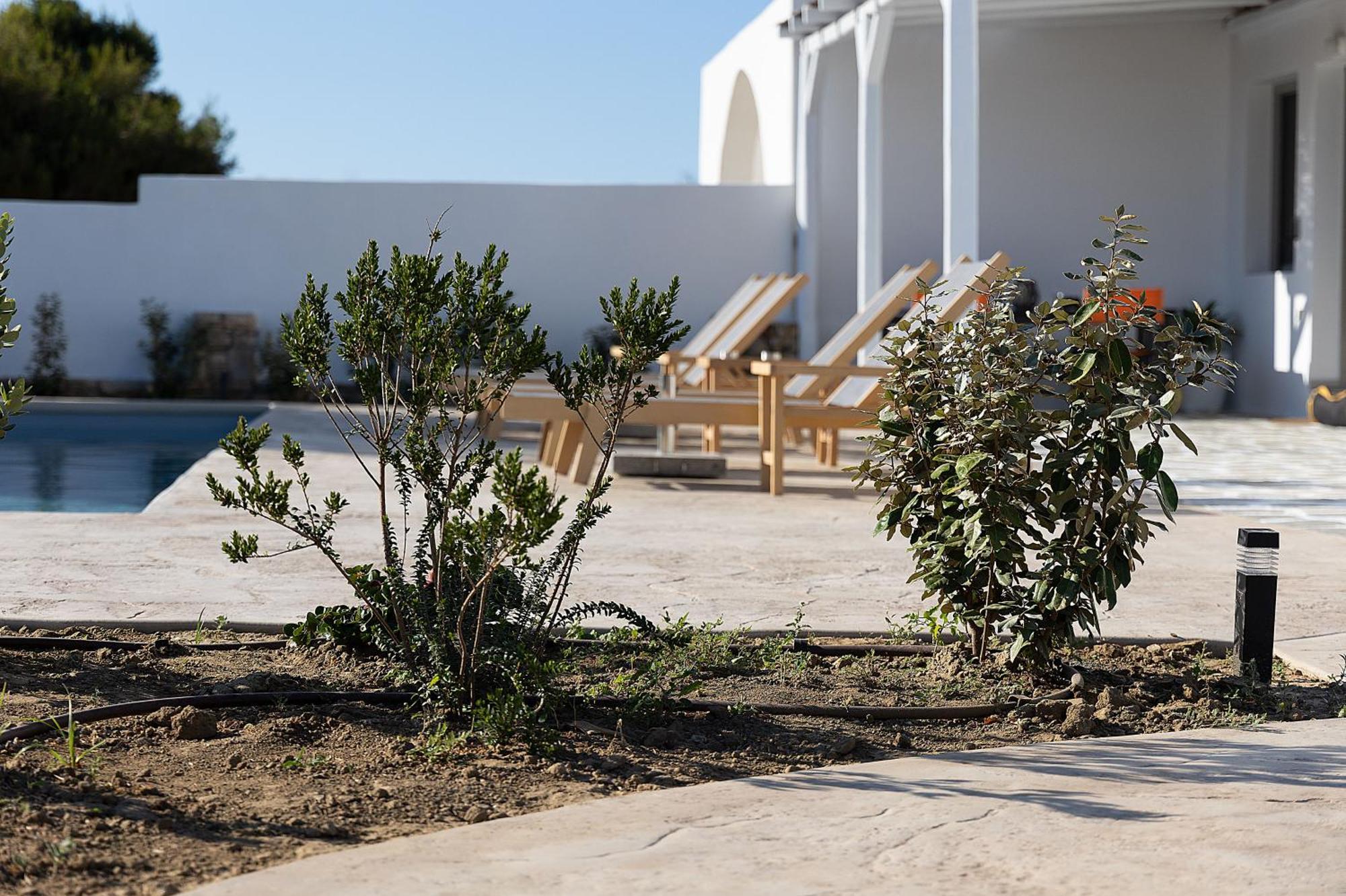 White Pearl Villa Naxos With Private Swimming Pool Naxos City Luaran gambar