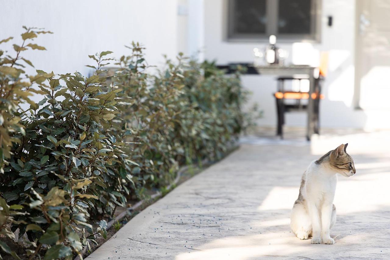 White Pearl Villa Naxos With Private Swimming Pool Naxos City Luaran gambar