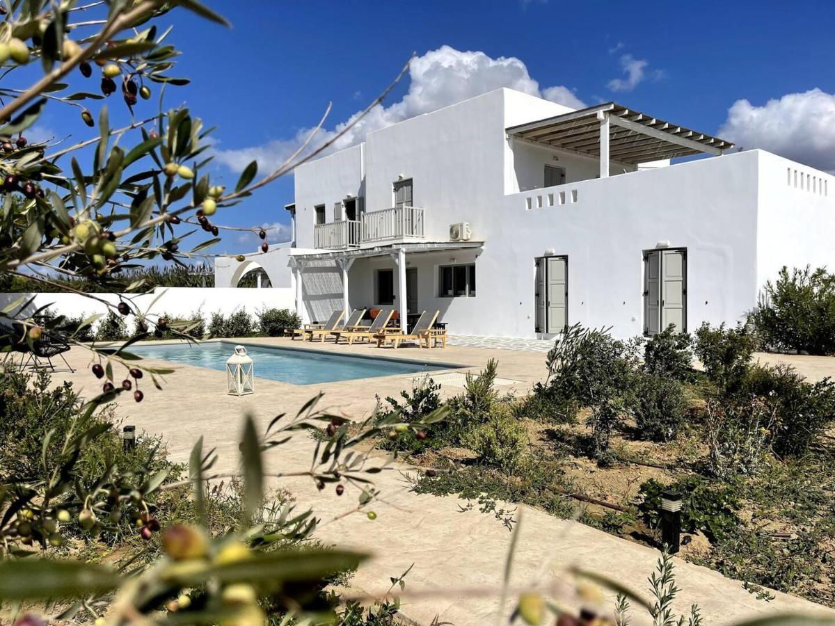 White Pearl Villa Naxos With Private Swimming Pool Naxos City Luaran gambar