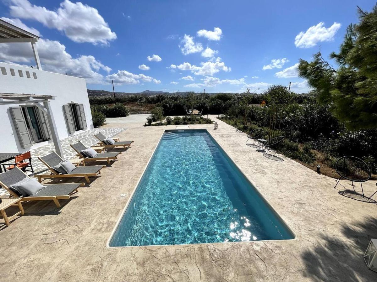 White Pearl Villa Naxos With Private Swimming Pool Naxos City Luaran gambar